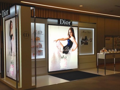 ChistianDiorHPP2